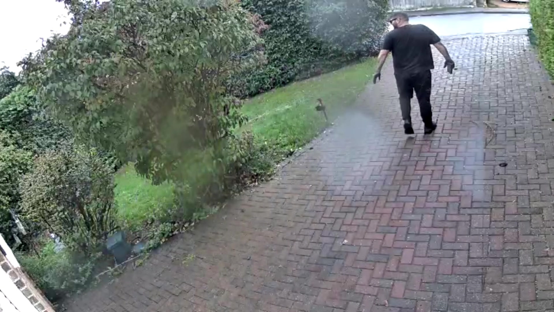 Refining the Automation Logic demonstration at 279.0s